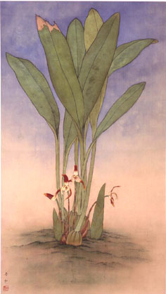 Maxillaria Luteo-alba 31 1/2 x 18 1/4 in. Ink and color on silk