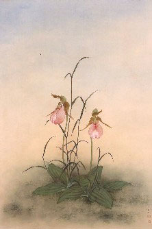 Lady's Slippers 26 1/4 x 17 1/2 in., Ink and color on silk