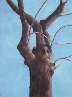 A Tree Stands Alone