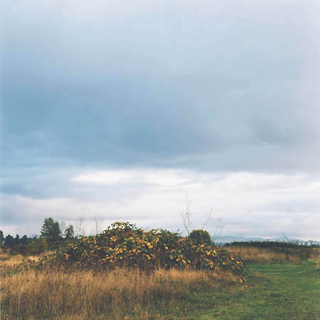 Photograph: The Fill #6