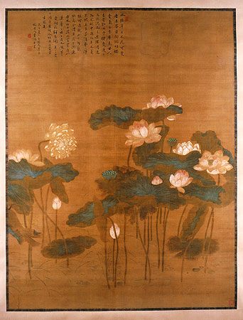 Study of Lotus Blossoms